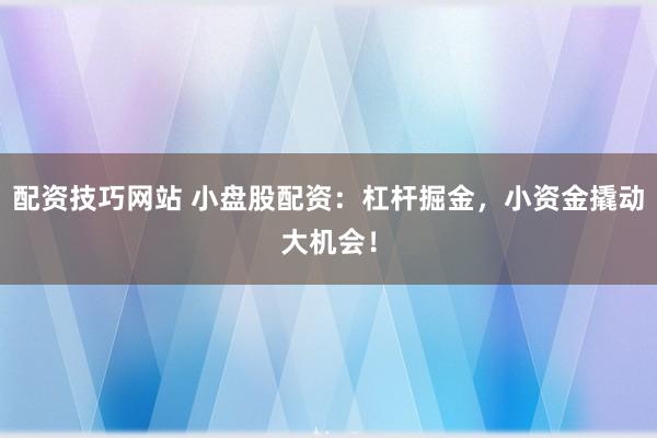 配资技巧网站 小盘股配资：杠杆掘金，小资金撬动大机会！