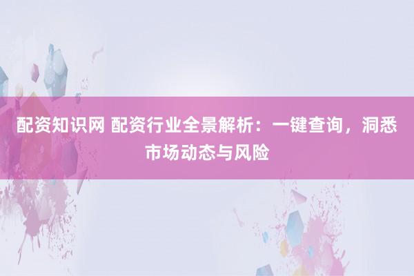配资知识网 配资行业全景解析：一键查询，洞悉市场动态与风险