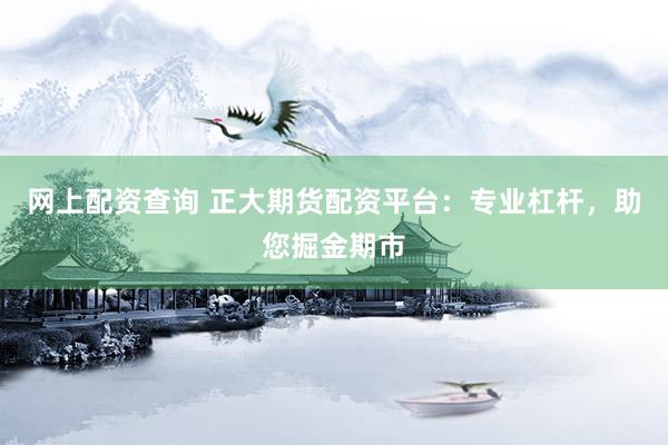网上配资查询 正大期货配资平台：专业杠杆，助您掘金期市