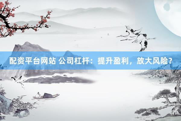配资平台网站 公司杠杆：提升盈利，放大风险？