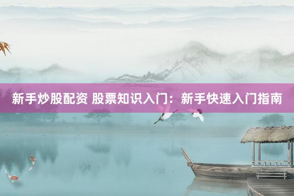 新手炒股配资 股票知识入门：新手快速入门指南