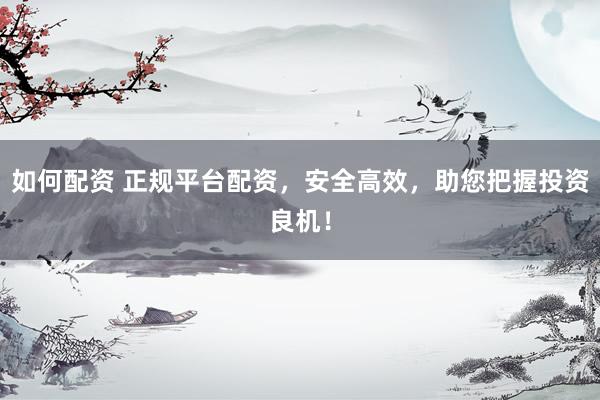 如何配资 正规平台配资，安全高效，助您把握投资良机！