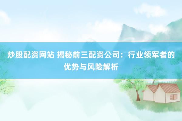 炒股配资网站 揭秘前三配资公司：行业领军者的优势与风险解析