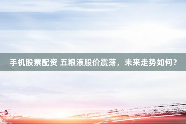 手机股票配资 五粮液股价震荡，未来走势如何？
