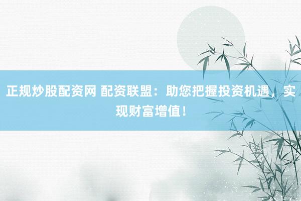 正规炒股配资网 配资联盟：助您把握投资机遇，实现财富增值！