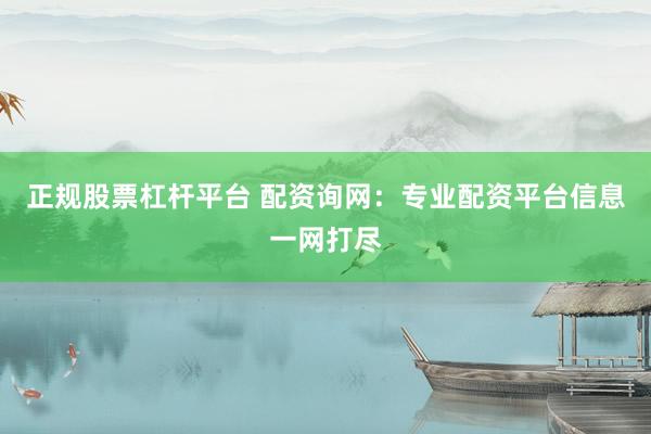 正规股票杠杆平台 配资询网：专业配资平台信息一网打尽