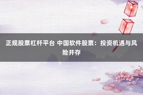 正规股票杠杆平台 中国软件股票:投资机遇与风险并存