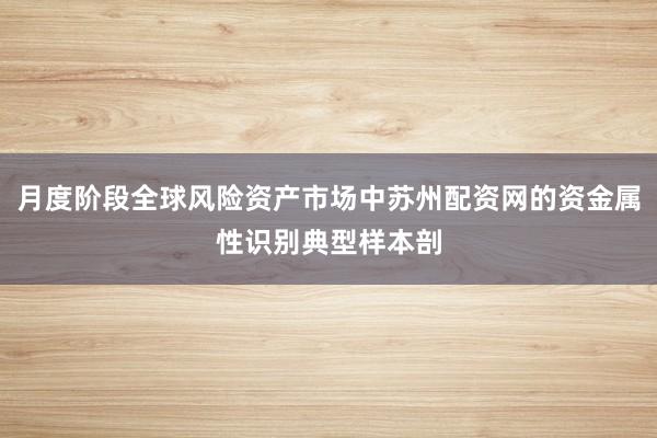 月度阶段全球风险资产市场中苏州配资网的资金属性识别典型样本剖