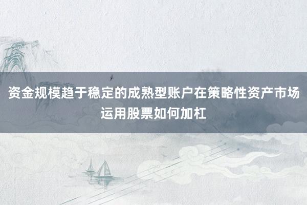 资金规模趋于稳定的成熟型账户在策略性资产市场运用股票如何加杠