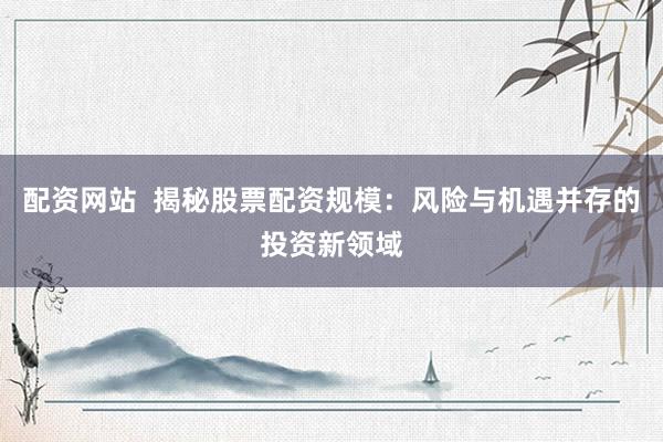 配资网站  揭秘股票配资规模：风险与机遇并存的投资新领域